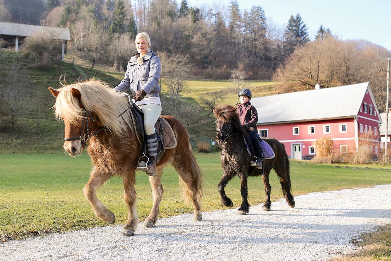 Homestead Farm Tesnak Гореня Вас Экстерьер фото